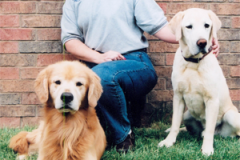 Two dogs at Willow Creek Kennels