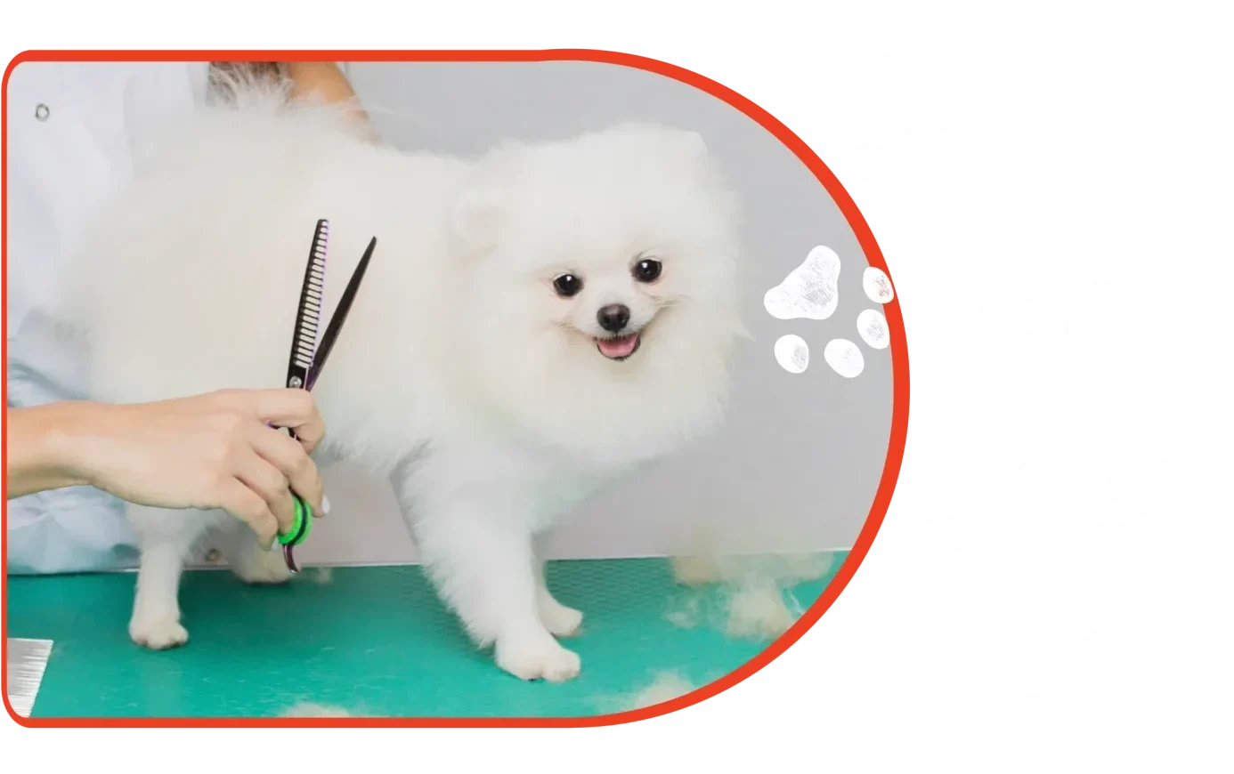 Grooming